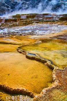 Terraces up close at Yellowstone with steamy hot springs