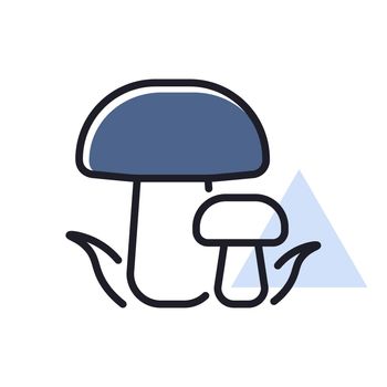 Forest mushrooms with a green grass vector icon