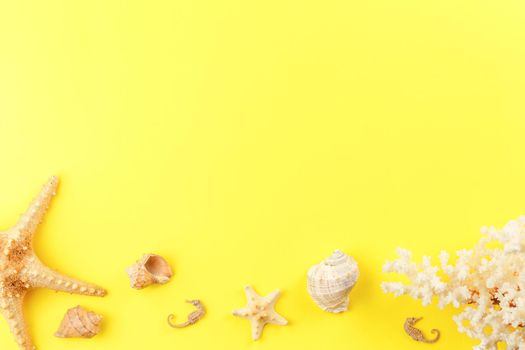 Sea molluscs on a yellow like sand background.