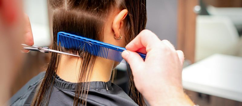 Hairdresser cuts off long hair of woman