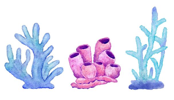 Watercolor illustration of corals in blue turquoise purple colors, ocean sea underwater wildlife animals. Nautical summer beach design, Australian reef life nature, natural environment clipart.
