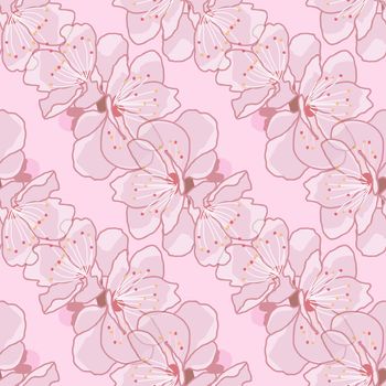 Cherry blossom repeat pattern on pink background