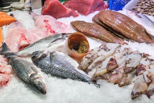 Market stall with fish and seafood