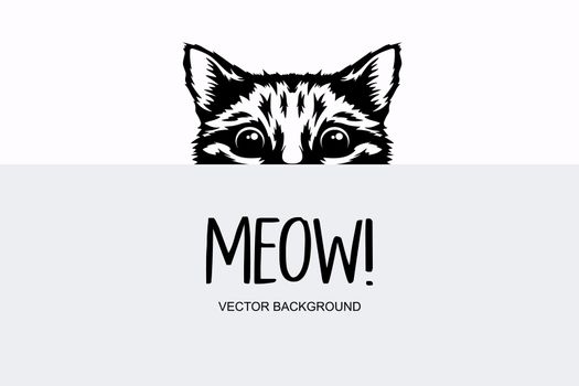 Vector Monochrome Hand Drawn Black, White Hiding Peeking Kitten. Kitten Head Peeking Over Blank White Placard, Poster, Card, Banner. Pet Kitten Curiously Peeking Behind White Background