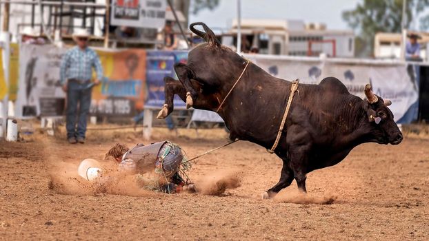 Cowboy Falls Off Bucking Bull