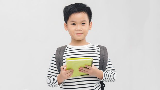 Portrait of little schoolboy with book on white background