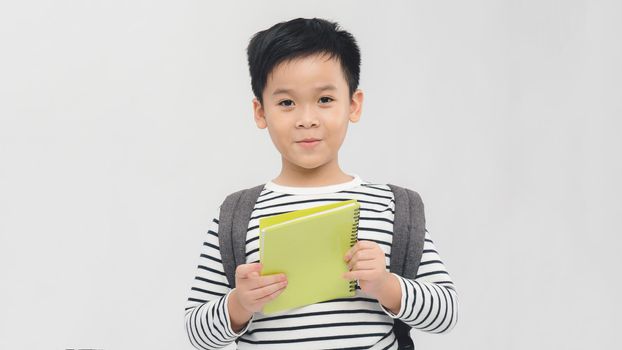 education, childhood and school concept - smiling little student boy with green book