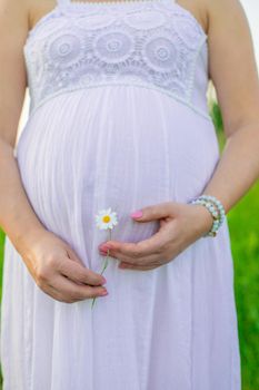 Pregnant woman with a camomile in hands. Selective focus.
