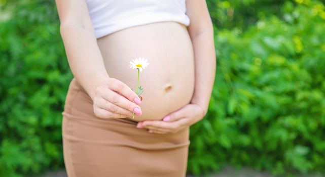 Pregnant woman with a camomile in hands. Selective focus.