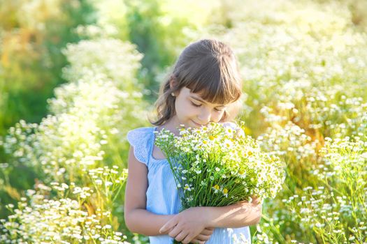 Child girl in a camomile field. Selective focus.