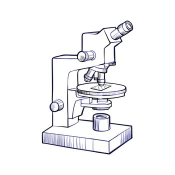 Microscope sketch and line art