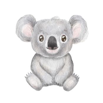 Cute portrait koala in cartoon style. Drawing australian baby isolated on white background. Jungle animal is sitting