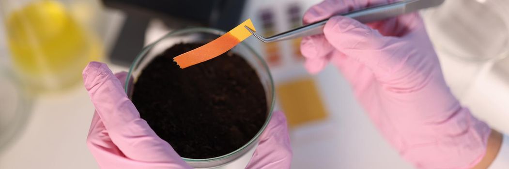 Scientist chemist checking soil acidity using litmus paper in laboratory closeup