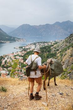 A domestic donkey carries a load in the saddle in Montenegro, accompanied by an old man.
