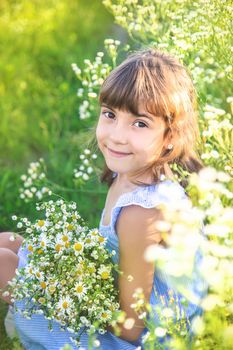 Child girl in a camomile field. Selective focus.
