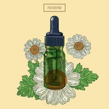 Feverfew flowers and green glass dropper
