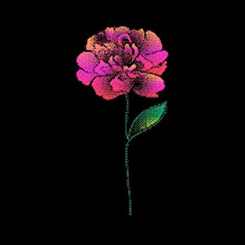Peony flower with bitmap effect