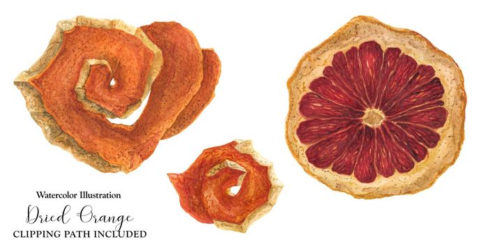 Dried peel and slice of red orange