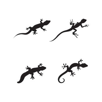 Lizard vector, design, animal, and reptile, gecko design