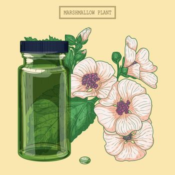Medicinal marshmallow and green glass vial