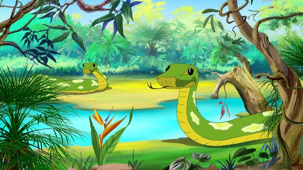 Green Anaconda in the Amazon River