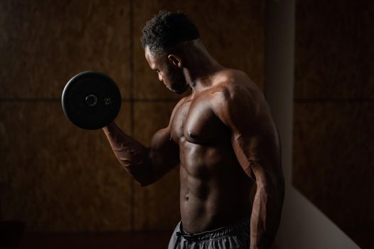 Attractive african american man doing biceps exercise with dumbbells.