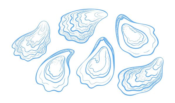 Handdrawn textured oysters set. Vector illustration isolated on a white background.
