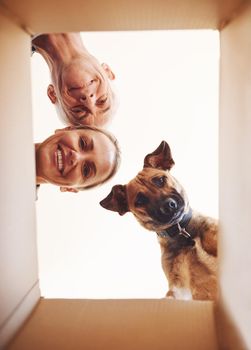 Its whats inside that counts. Low angle portrait of a happy couple and their dog looking into a box together.