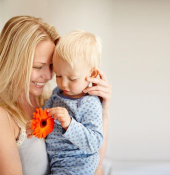 Special motherhood moments. A loving mother holding her son as he looks at an orange flower.