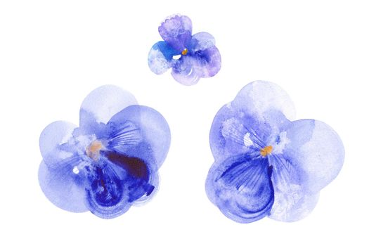 Pansy the Symbol of Freethought