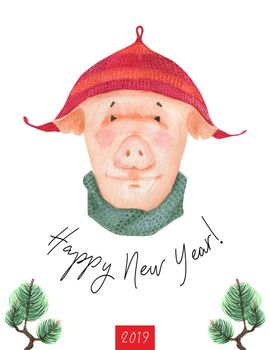 Happy New Year postcard Boy Teen Pig 2019