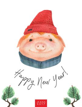 Happy New Year postcard Boy Teen Pig 2019