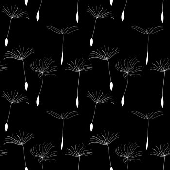 White dandelion seeds on black background