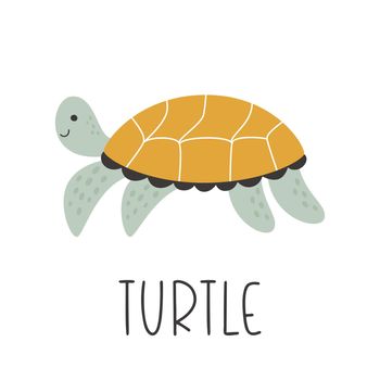 Cute hand-drawn turtle side view