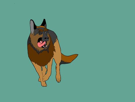 Flat isolated sheppard. Dog breed illustration vector.
