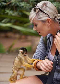 Getting in touch with nature. Cropped shot of a young woman interacting with a little monkey at a wildlife park.
