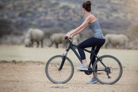 Enjoying untamed Africa. Shot of a young woman on a bicycle looking at a group of rhinos in the veld.
