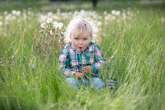 Blond little boy with a dandelion. One year old baby is sitting in the grass. Child in the meadow