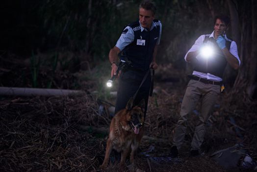 Theyll get their man. Shot of two policemen and their canine tracking a suspect through the brush at night.