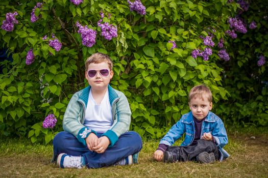 A boy poses near a lush lilac. Portrait of children with an interesting facial expression. Interactions. Selective focus.