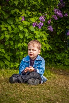 A boy poses near a lush lilac. Portrait of children with an interesting facial expression. Interactions. Selective focus.