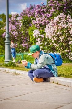 A young man is sitting on the side of a lilac alley and looking at his phone.  Against the background of lilac bushes. Interactions. Selective focus.