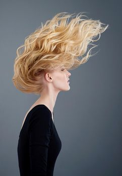 Beautiful hair from the roots to the tips. Studio shot of an attractive young woman tossing her beautiful long blonde hair against a gray background.