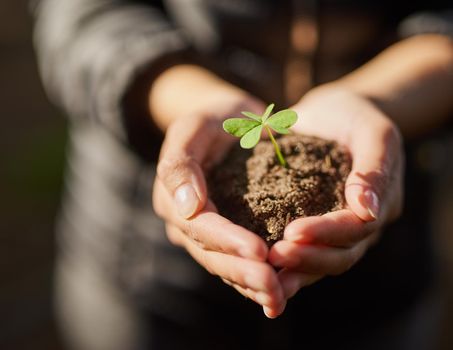Holding the future in her hands. Shot of an unidentifiable young woman holding a seedling in a pile of soil.
