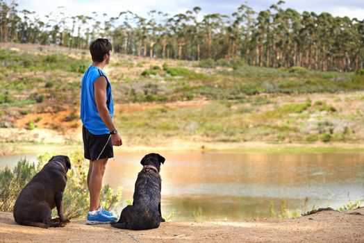 Taking the dogs for a scenic walk. A young man standing looking out over a pond with his two dogs next to him.