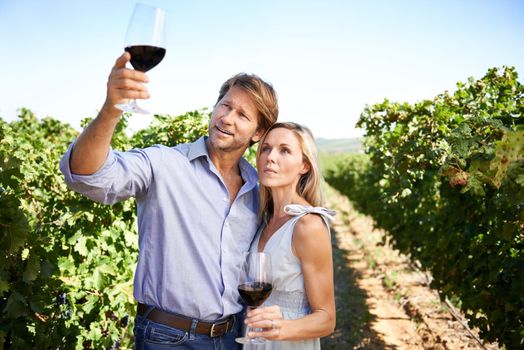 Enjoying a day of wine tasting in the sun. Shot of a couple enjoying wine tasting in a vineyard.