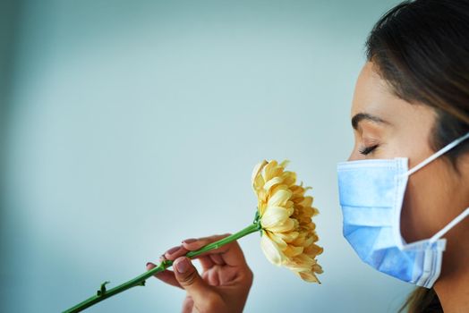 I cant seem to smell anything. Shot of a young woman smelling a flower while wearing a surgical mask.