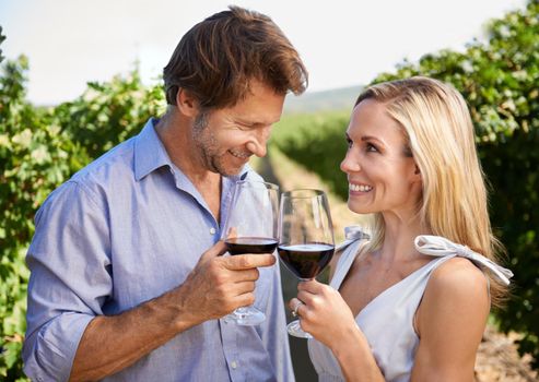 Heres to wine country. Shot of a happy couple enjoying wine tasting in a vineyard.