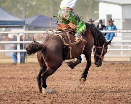 Saddle Bronc Riding At Country Rodeo