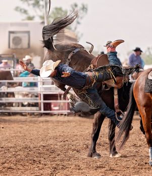 Cowboy Falling Off Wild Horse At Rodeo